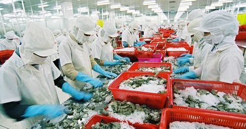 Hỗ trợ doanh nghiệp xuất khẩu thực phẩm sang các thị trường thành viên RCEP